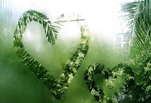 2021年欧洲杯赛程什么时候开始？