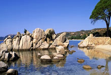 乌拉圭2022世界杯阵容，老炮压阵+新星崛起，能否续写荣光？